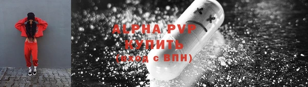 ECSTASY Богородск