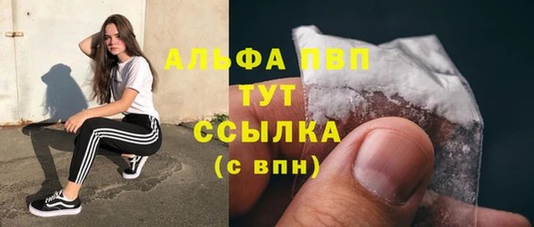 ECSTASY Богородск