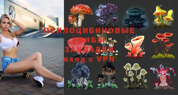 Альфа ПВП Богданович