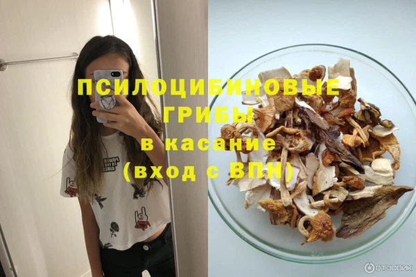 Альфа ПВП Богданович