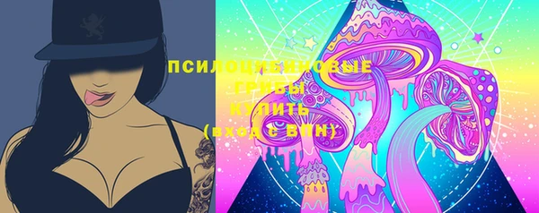 винт Богородицк