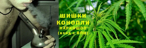 ECSTASY Богородск