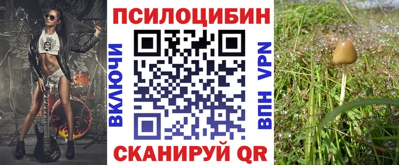 Галлюциногенные грибы Magic Shrooms  закладка  мега tor  Каменск-Уральский 